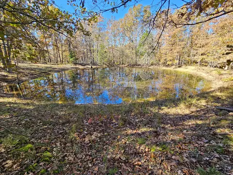 000 State Route Nn, Mountain View, MO 65548 photo 2