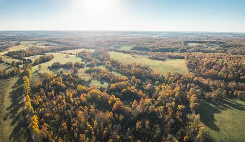 View/Area - 6601 County Line Rd, Graff, MO 65660 photo 13 of 18