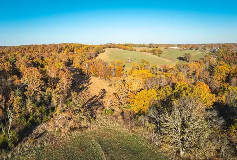 View/Area - 6601 County Line Rd, Graff, MO 65660 photo 10 of 18