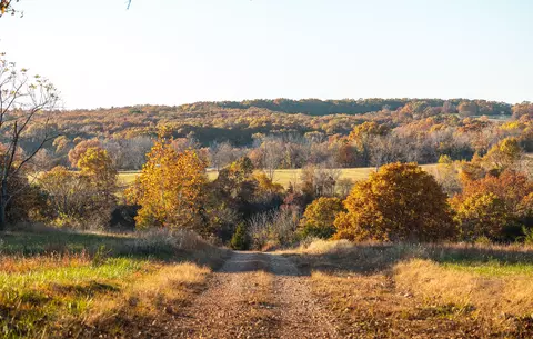 Other - 6601 County Line Rd, Graff, MO 65660 photo 19 of 21