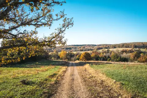 Other - 6601 County Line Rd, Graff, MO 65660 photo 3 of 21
