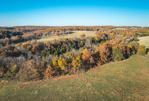 View/Area - 6601 County Line Rd, Graff, MO 65660 photo 9 of 18