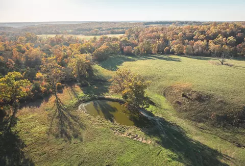 View/Area - 6601 County Line Rd, Graff, MO 65660 photo 6 of 18