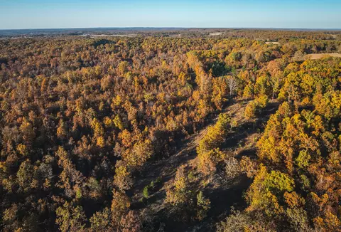 View/Area - 6601 County Line Rd, Graff, MO 65660 photo 5 of 18