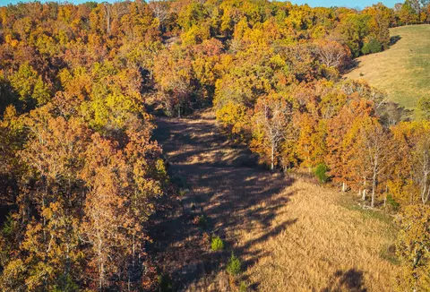 Other - 6601 County Line Rd, Graff, MO 65660 photo 13 of 21