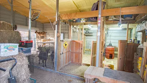 35225 Co Rd Ac350, Drury, MO 65638 photo 24