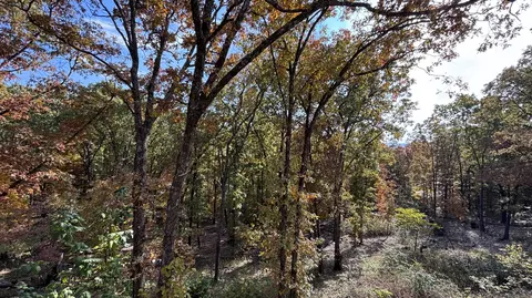 Other - 22 Old Southern Rd, Branson, MO 65616 photo 1 of 10