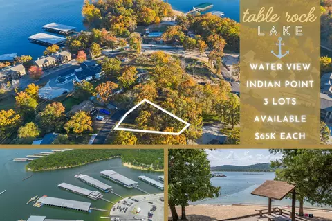 tbd Locust Ln, Indian Point, MO 65616