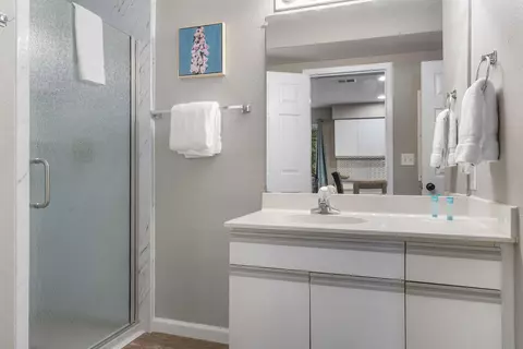 Bath - 505 Valley View Dr #201, Branson, MO 65616 photo 1 of 4