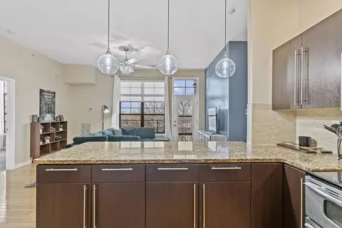 623 W Walnut St #407, Springfield, MO 65806 photo 6