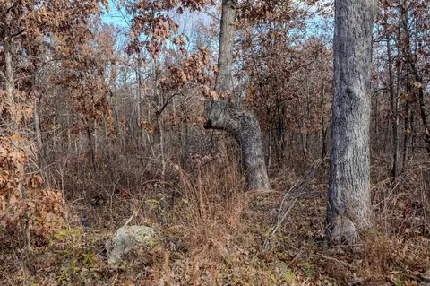 000 Winchester Ct, Tunas, MO 65764 photo 10