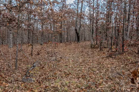 000 Winchester Ct, Tunas, MO 65764 photo 12