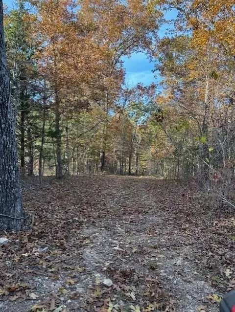 tbd County Road Ah 272, Vanzant, MO 65768