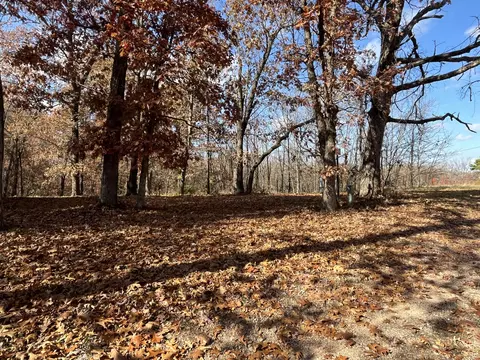 371 Post Oak Rd, Seligman, MO 65745 photo 15