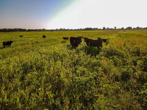 000 Cr Nn, Sheldon, MO 64784 photo 7