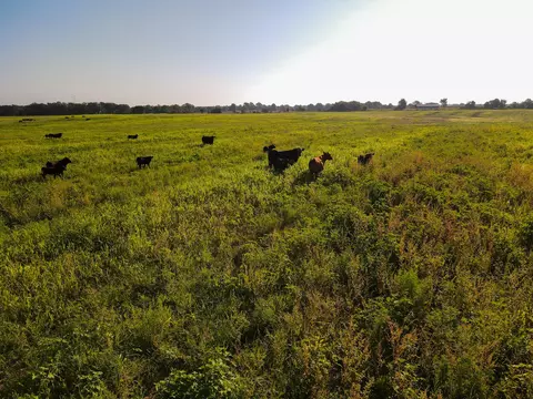 000 Cr Nn, Sheldon, MO 64784 photo 6