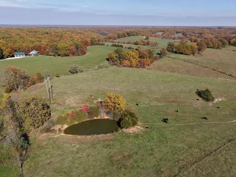 74 Hunters Dr, Galena, MO 65656 photo 48