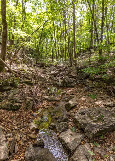 Other - 537 Watson Rd, Branson, MO 65616 photo 15 of 20