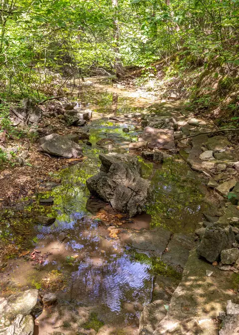 Other - 537 Watson Rd, Branson, MO 65616 photo 17 of 20