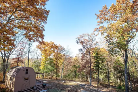 Exterior - 537 Watson Rd, Branson, MO 65616 photo 12 of 20