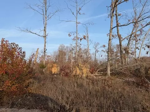 0000 Fox Cir Dr, Mountain View, MO 65548 photo 6
