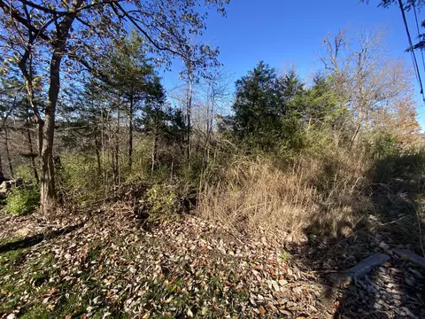 0 E Redbud St, Springfield, MO 65804 photo 6
