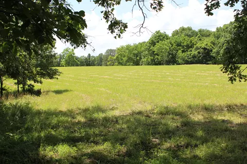 000 Cr 543, Gainesville, MO 65655 photo 19