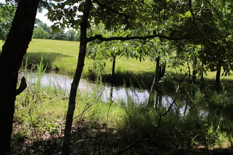 000 Cr 543, Gainesville, MO 65655 photo 21