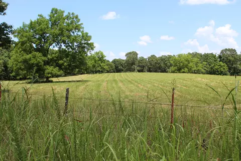 000 Cr 543, Gainesville, MO 65655 photo 9