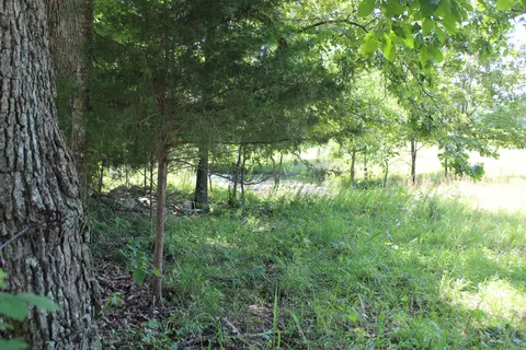 000 Cr 543, Gainesville, MO 65655 photo 20