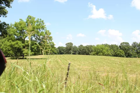 000 Cr 543, Gainesville, MO 65655 photo 16