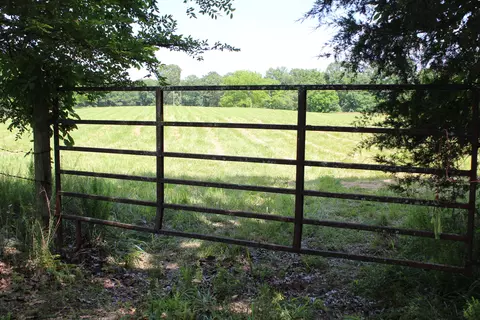 000 Cr 543, Gainesville, MO 65655 photo 2