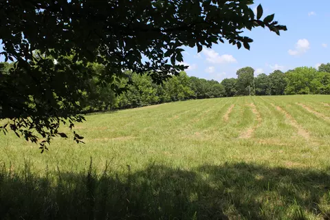 000 Cr 543, Gainesville, MO 65655 photo 8