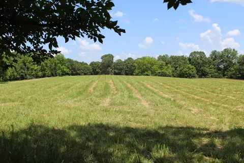 000 Cr 543, Gainesville, MO 65655 photo 7