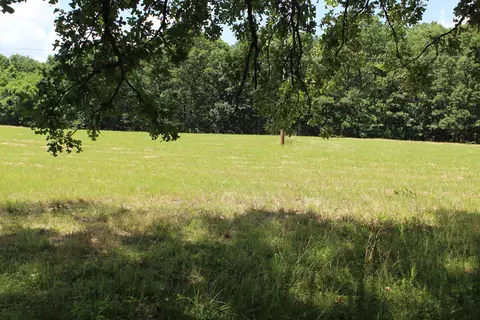 000 Cr 543, Gainesville, MO 65655 photo 18