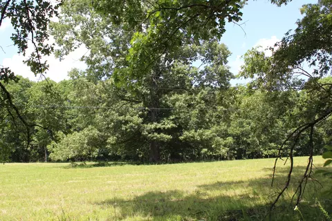 000 Cr 543, Gainesville, MO 65655 photo 17