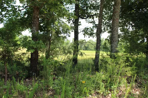 000 Cr 543, Gainesville, MO 65655 photo 14