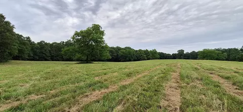 000 Cr 543, Gainesville, MO 65655 photo 6