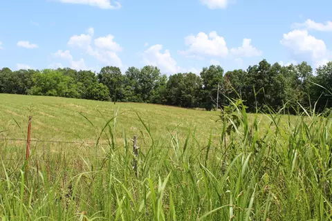 000 Cr 543, Gainesville, MO 65655 photo 11