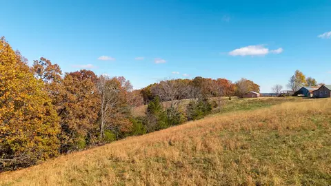 11235 State Highway 181, Tecumseh, MO 65760 photo 53