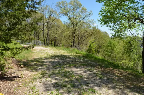 311 Cliffside Dr, Galena, MO 65656 photo 16