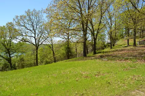 311 Cliffside Dr, Galena, MO 65656 photo 4