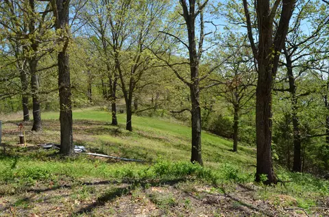 311 Cliffside Dr, Galena, MO 65656 photo 5