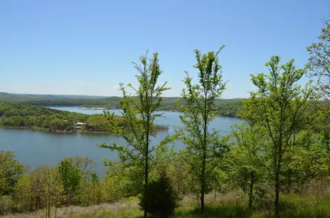 311 Cliffside Dr, Galena, MO 65656 photo 9