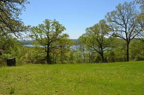 311 Cliffside Dr, Galena, MO 65656 photo 19