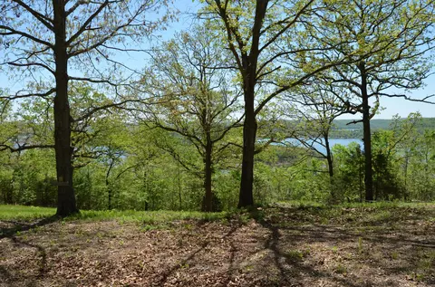 311 Cliffside Dr, Galena, MO 65656 photo 15