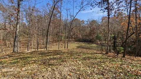 170 Ee Hwy, Thayer, MO 65791 photo 9