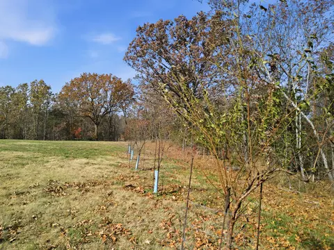 170 Ee Hwy, Thayer, MO 65791 photo 20