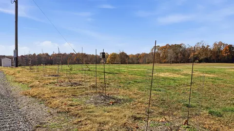 170 Ee Hwy, Thayer, MO 65791 photo 19