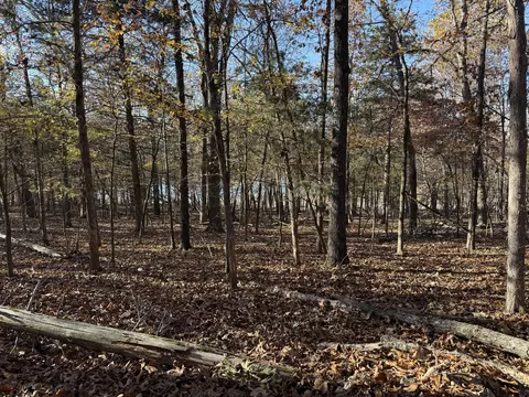 lot40 Point Ct, Theodosia, MO 65761